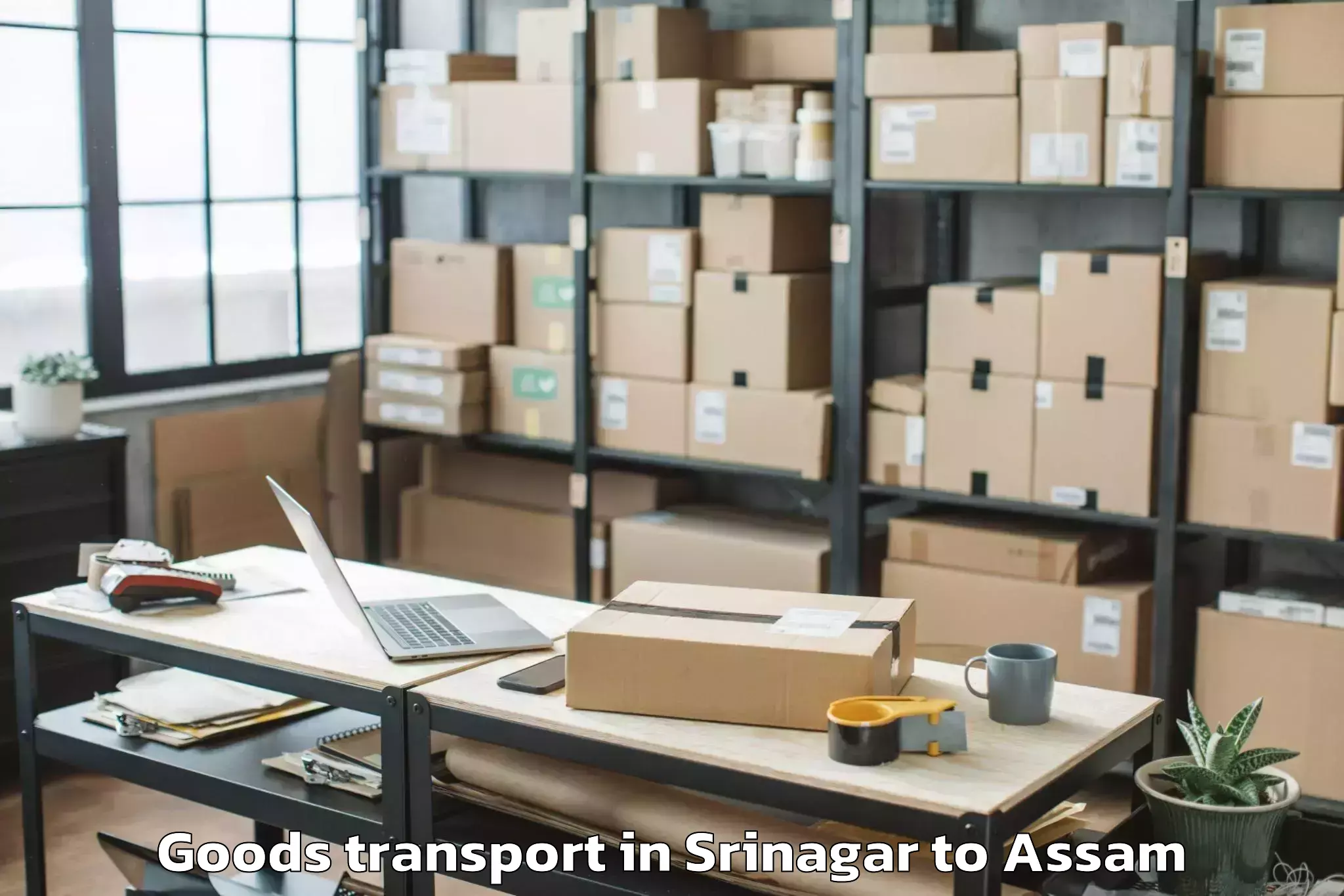 Expert Srinagar to Nit Silchar Goods Transport